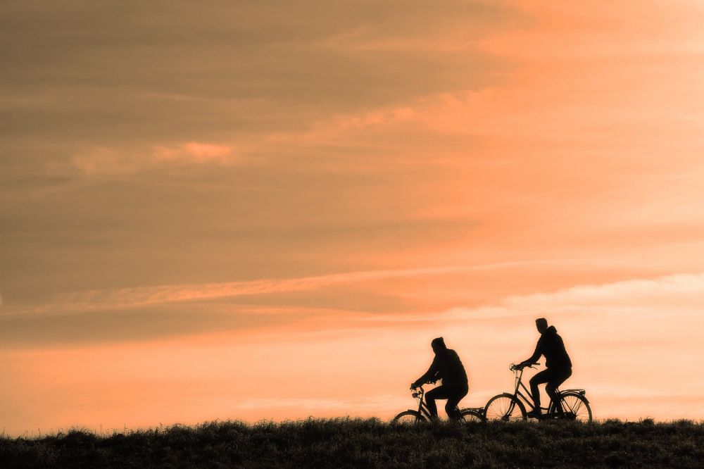 TV 2 CYKLING: En passioneret guide til cyklingens verden